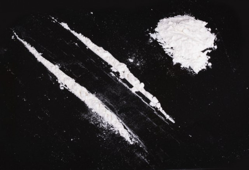 Uhapšeno dvoje Srba sa 20 kg kokaina