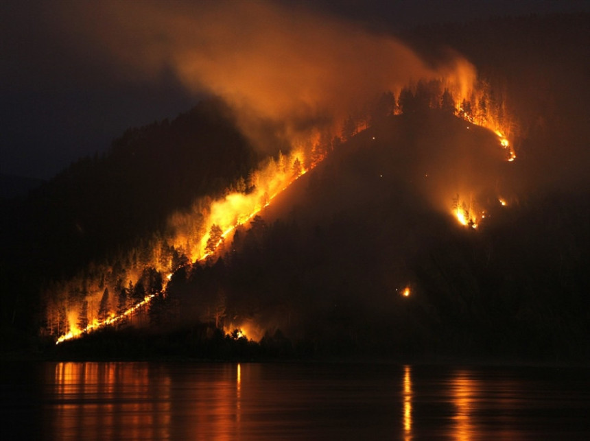 У шумским пожарима настрадале 34 особе
