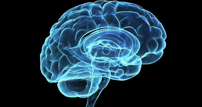 Мозак “ефикаснији” када говорите два језика