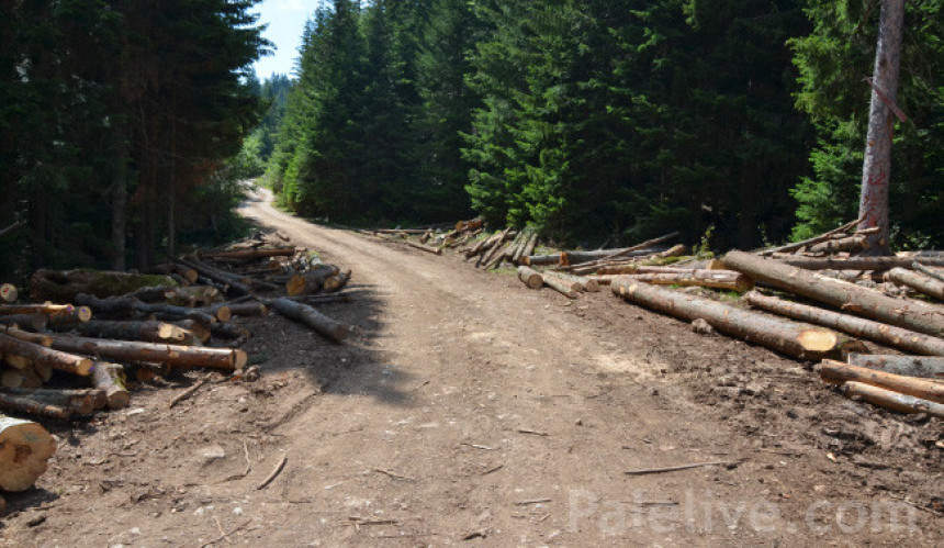 Sokolac: Pucano na trojicu radnika 