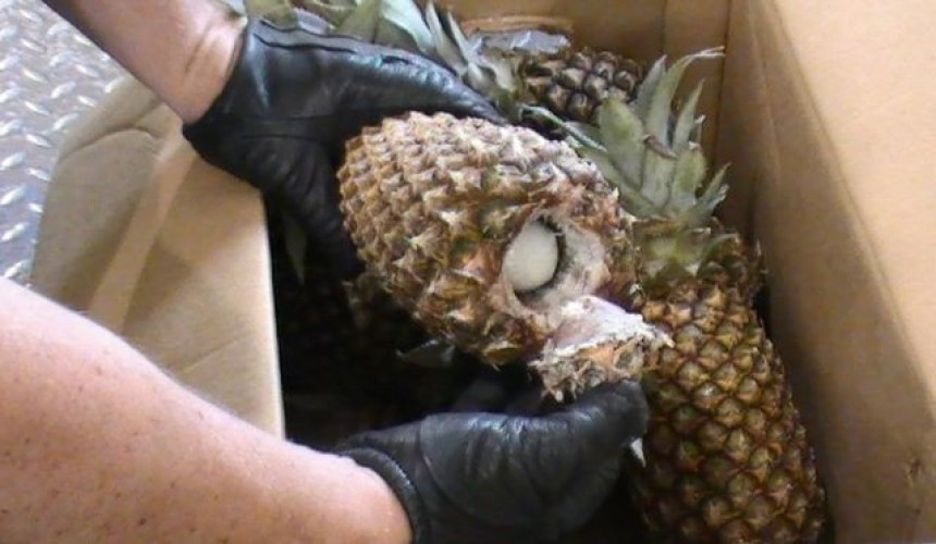 Drogu pakovali u svjež ananas 