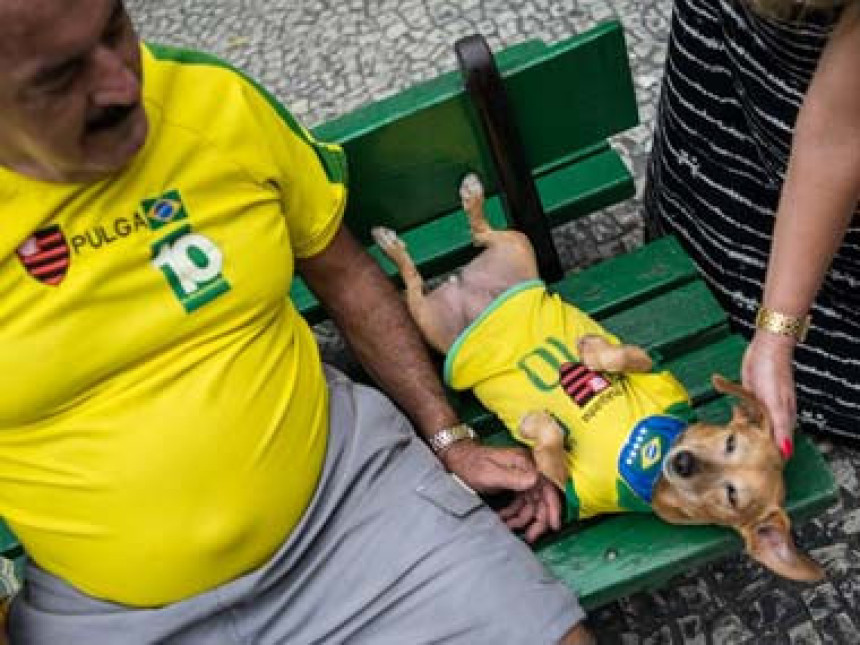 У Бразилу има више паса него дјеце!