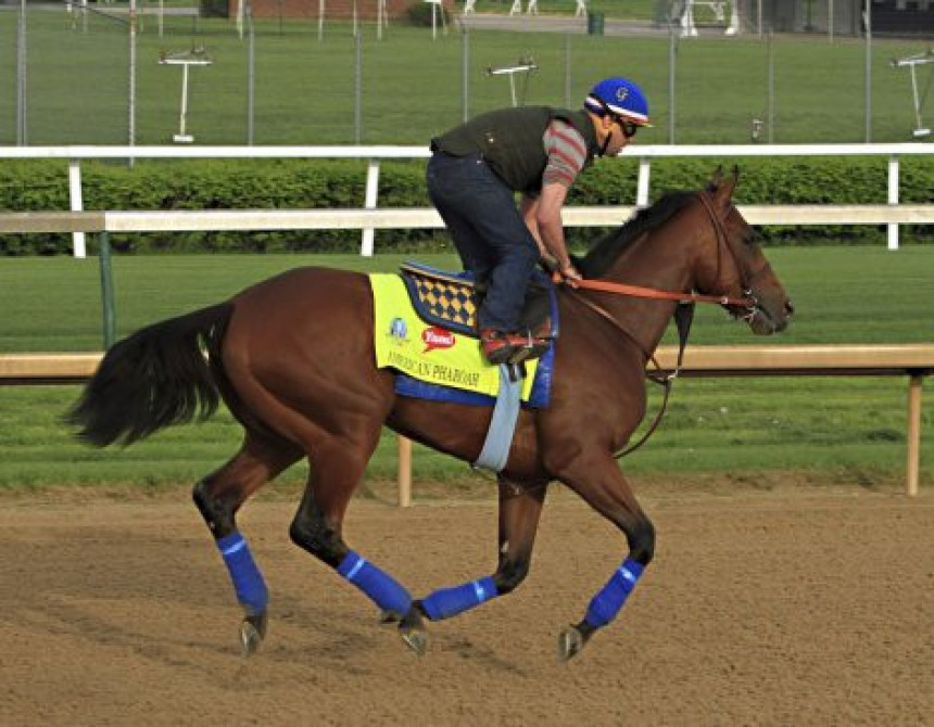 Sve kobile hoće sa njim! Jer on vrijedi 100 miliona dolara!
