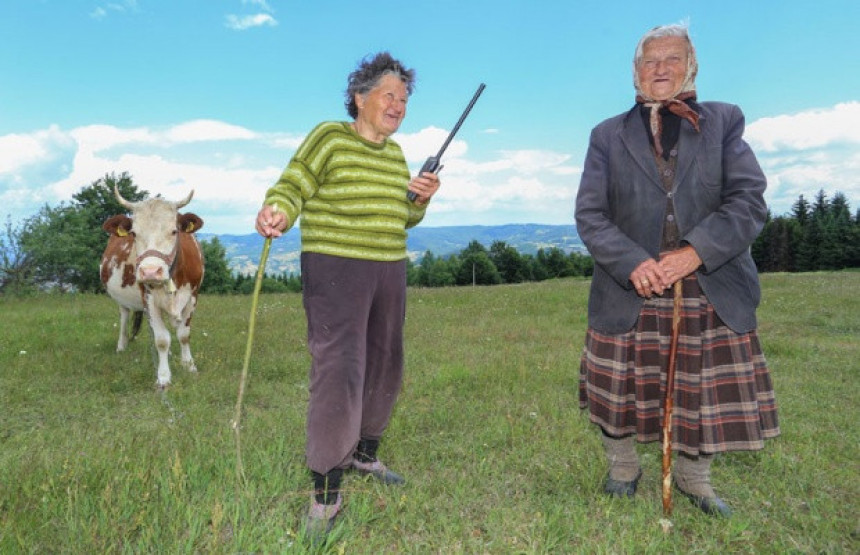 Stanka tri decenije brani Užice od leda