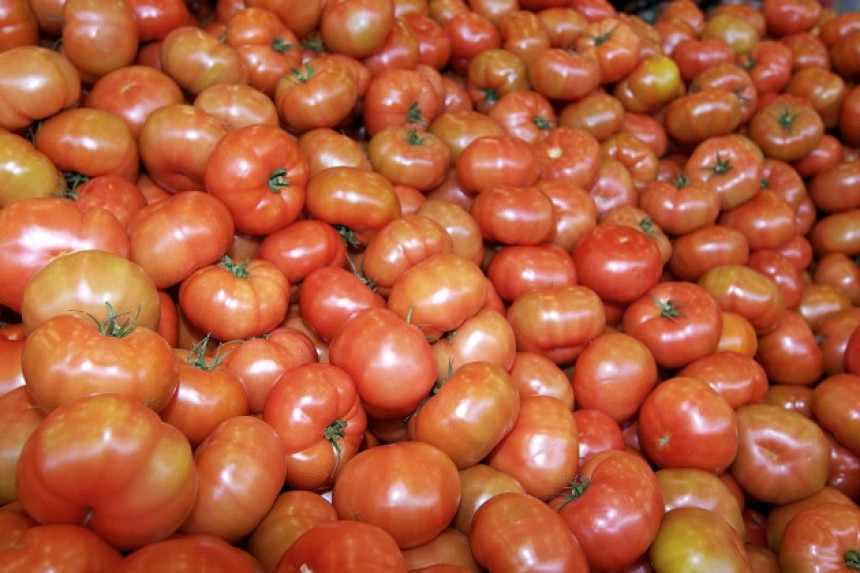Gajba paradajza od 10 kilograma jedan evro