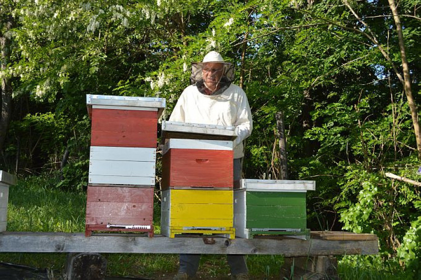 Vrijeme za traženje dobre paše za pčele