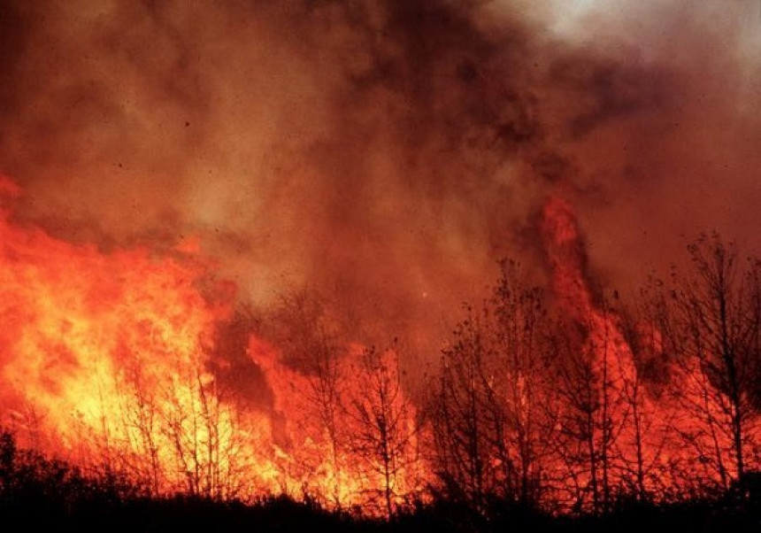 Više od 160 požara zahvatilo Italiju