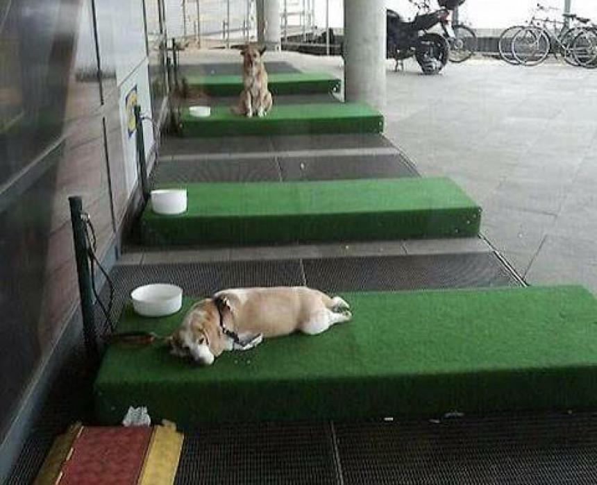 IKEA napravila "parking mjesta" za pse
