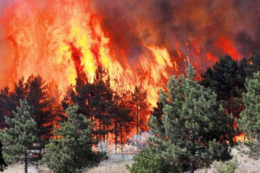 Ugašen požar na jugoistoku Bugarske