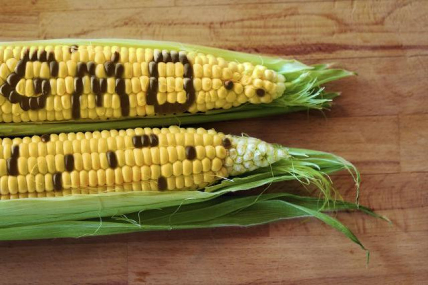 Stvari kojih ne bi bilo da nema GMO-a