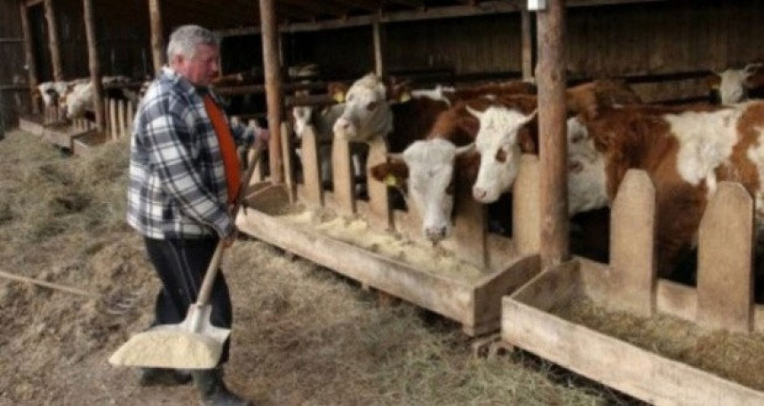 Poljoprivrednicima podsticaji 6 puta manji