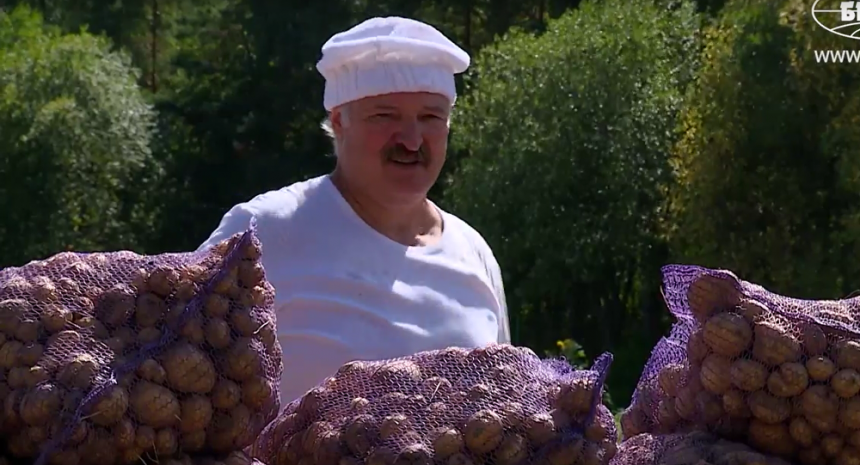 Лукашенко са сином копао кромпир