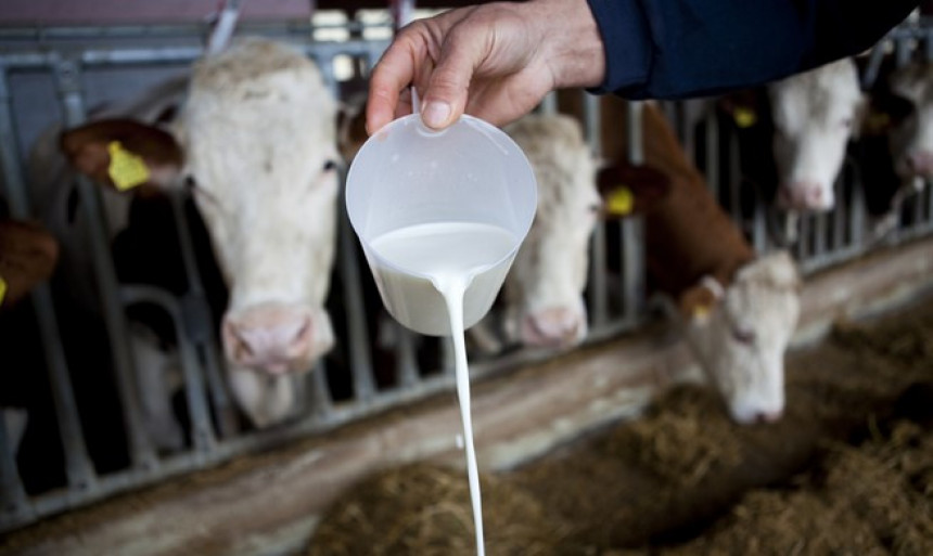 Sastanak u Briselu o izvozu mlijeka iz BiH