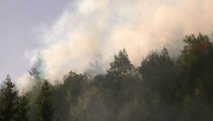Пале: Пожар далеко од кућа и под контролом