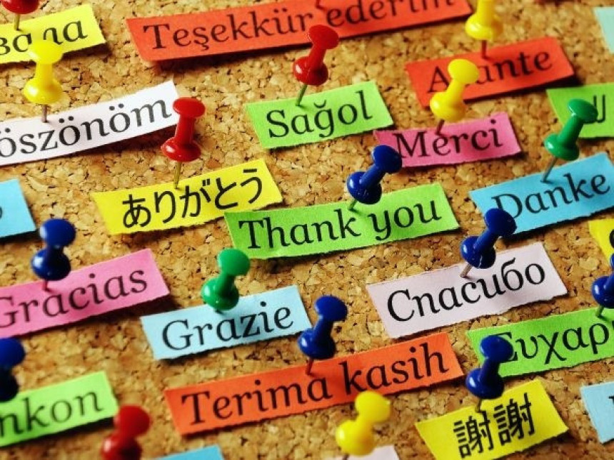 Који језик је матерњи највећем броју људи?