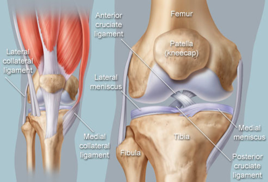 Povrede prednjih ukrštenih ligamenata nastaju zbog obuće?!