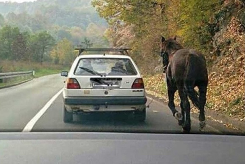 Бањалука: Завезао коња за аутомобил!