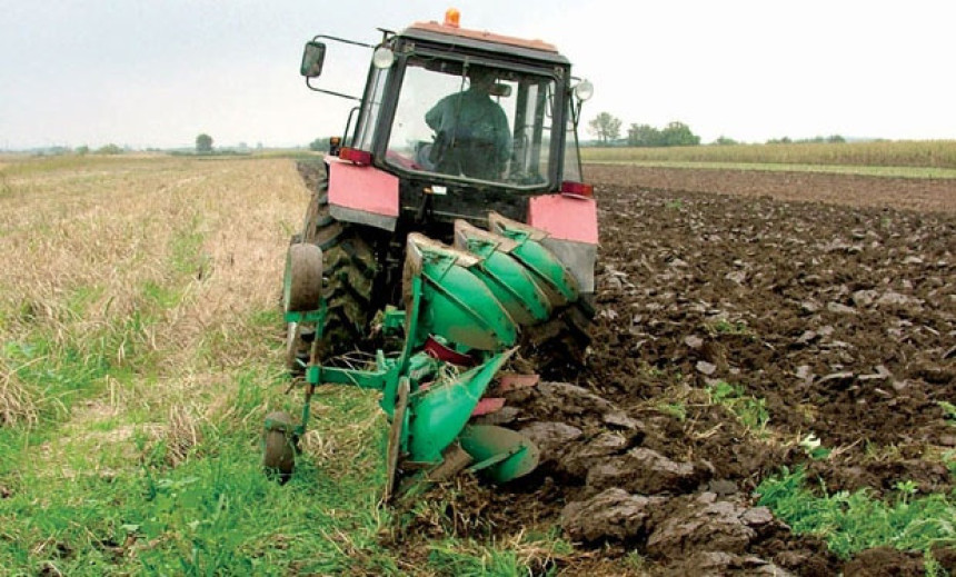 Alarmantno: Polovina njiva pod korovom