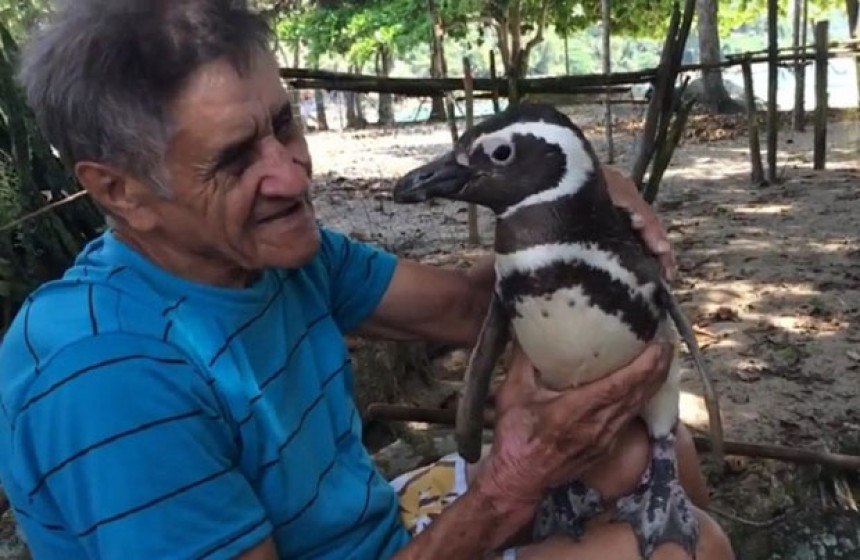 Veliko prijateljstvo Brazilca i pingvina