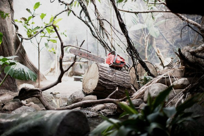 Nesreća u Derventi: Ženu ubilo drvo