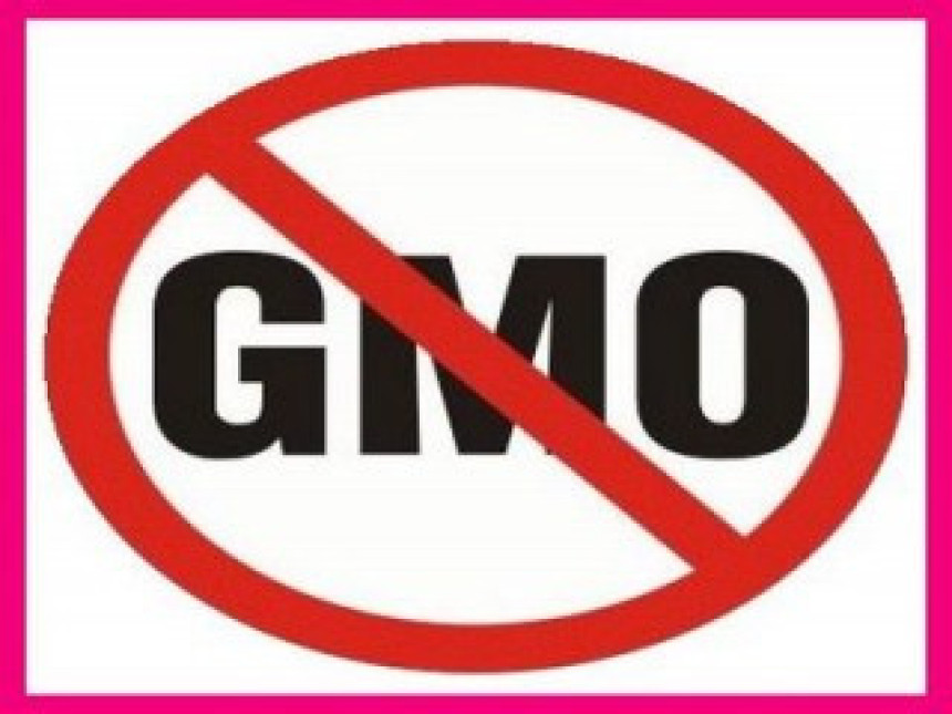 ГМО храна присутна у Србији, иако је званично забрањена