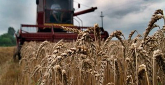 Za privredu samo 10 odsto kredita