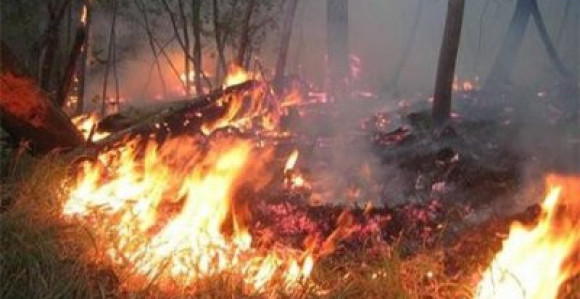 Požar u Jablanici gasi samo 5 vatrogasaca