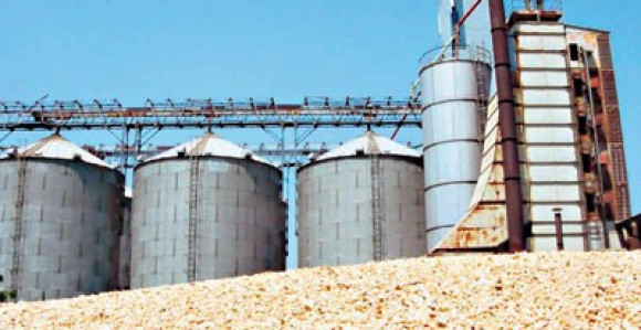 Otkupna cijena pšenice 0,36 KM po kilogramu 