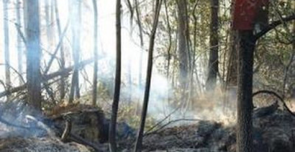 Vatra na Ozrenu pod kontrolom 