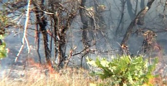 Požari u okolini Ljubinja pod kontrolom (VIDEO)