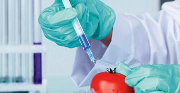 Više od 80 odsto građana Srbije protiv GMO!