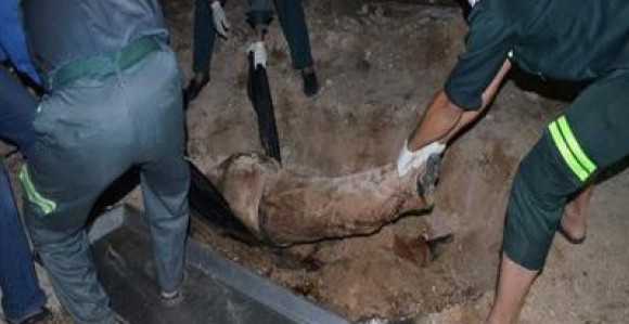 Тијела брачног пара из БиХ закопана у врту своје виле