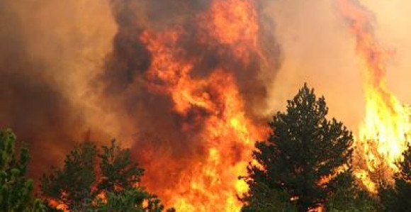 Zaustavljena vatrena stihija