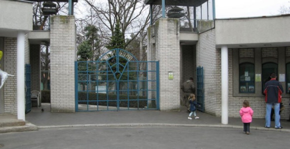 Vuk povrijedio djevojčicu u Zoološkom vrtu! 