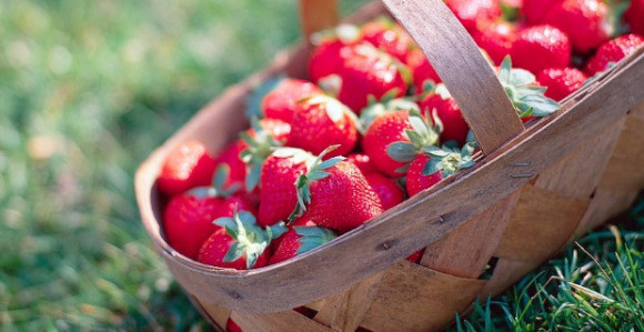 10 koristi za zdravlje koje nam donose jagode