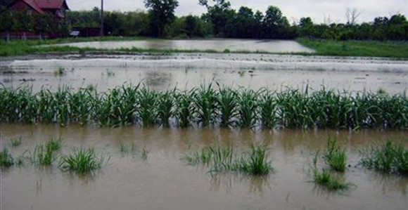 Gradiška: Šteta premašila dva miliona