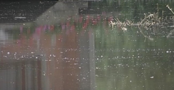 Prijeti li nam virus zapadnog Nila?