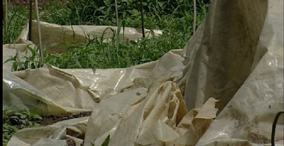 Semberija: Pustoš, bol, jad i tuga...