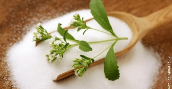 Stevija - slatka, a zdrava