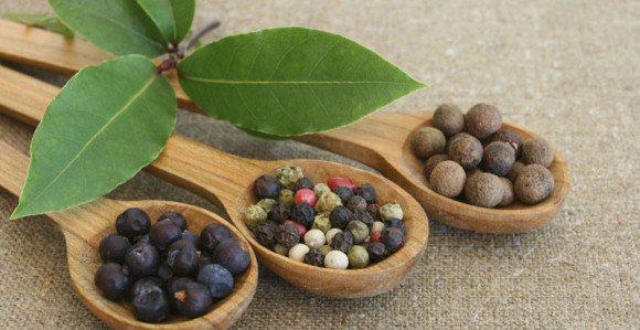 Ljekovita svojstva bibera