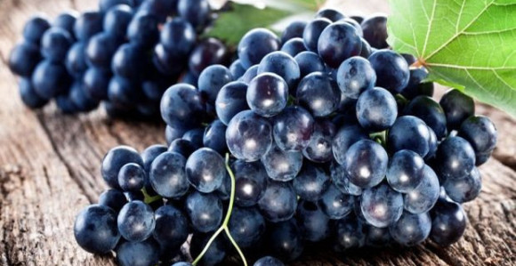Grožđe - eliksir zdravlja i mladosti 