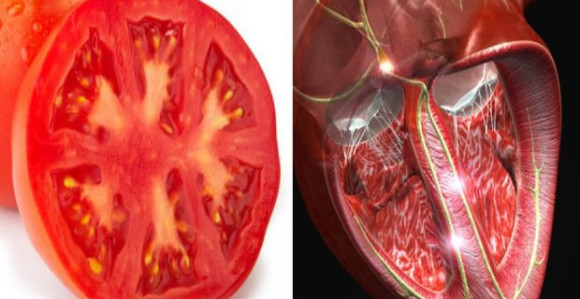 Po izgledu ploda možemo zaključiti koji organ leči