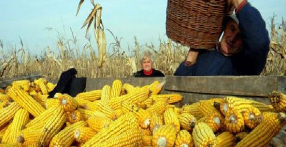 (Ne)briga o poljoprivredi