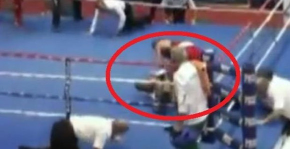 Video: Au! Hrvat nokautirao sudiju!!!