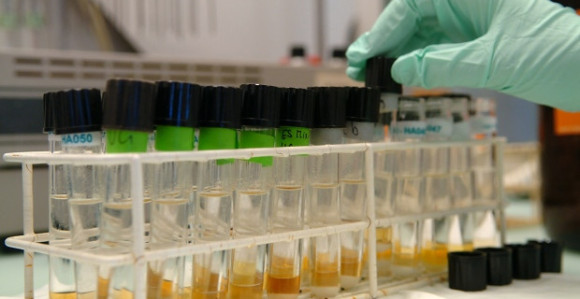 Mađarska planira testiranje novinara i političara