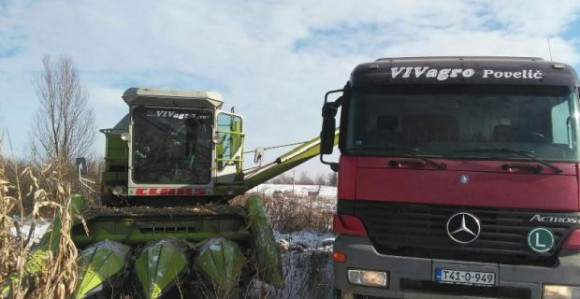 Srbac: Novogodišnja berba kukuruza