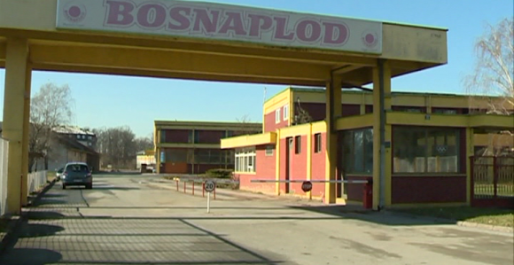 "Bosnaplod" na licitaciji