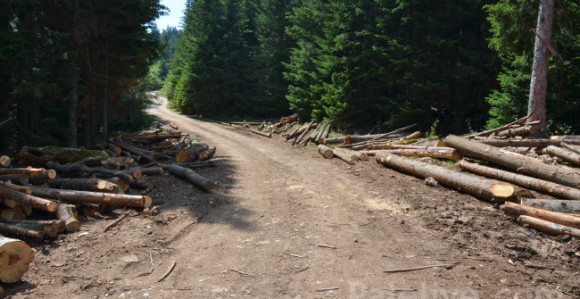 Sokolac: Pucano na trojicu radnika 