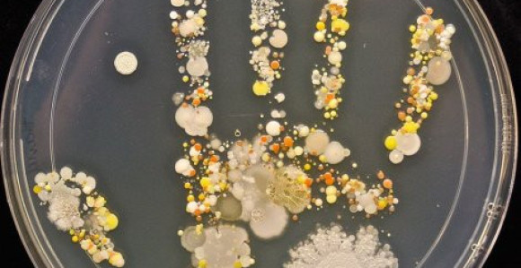 Mikroorganizmi na šakama djeteta nakon igranja napolju