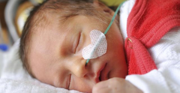 Čudo i ljepota života